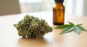 Fleur de CBD sans THC : tout ce que vous devez savoir